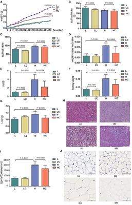Chitosan Oligosaccharide Ameliorates Metabolic Syndrome Induced by Overnutrition via Altering Intestinal Microbiota